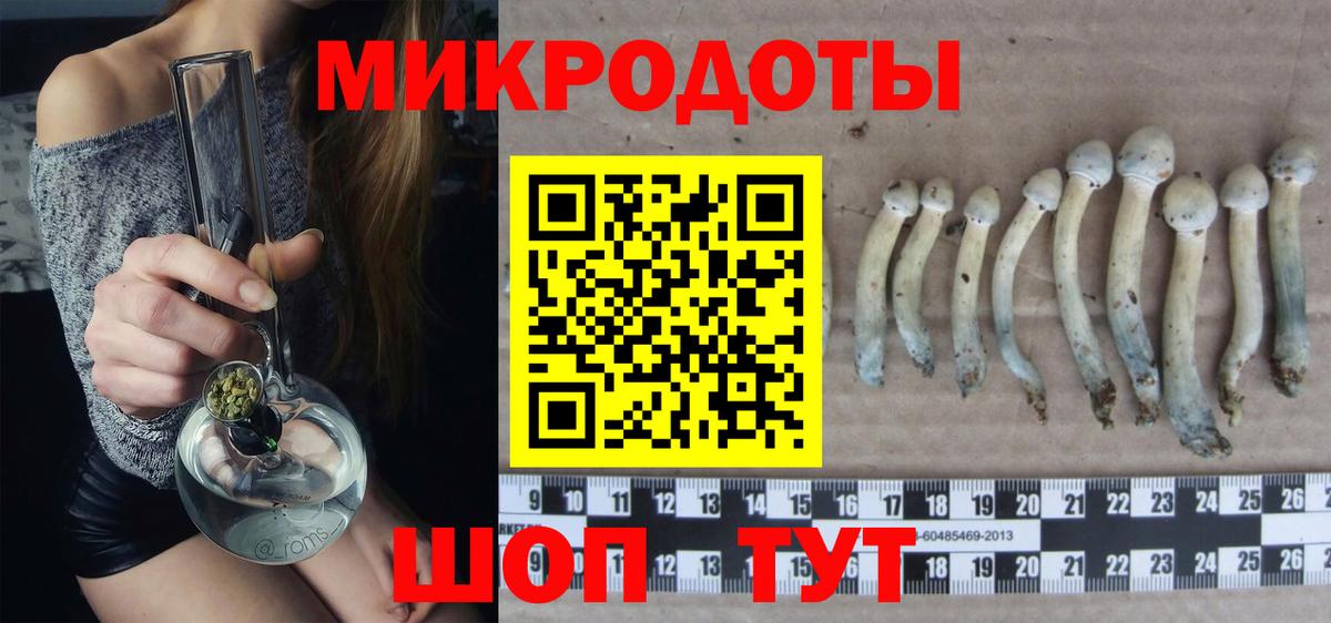 Галлюциногенные грибы прущие грибы Карабулак